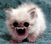 omg.png