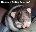 Kristalit's Photo