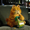 Flapa's Photo