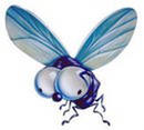 Ulidka's Photo