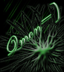 Qmon's Photo
