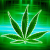 Shopik - last post by -DK-